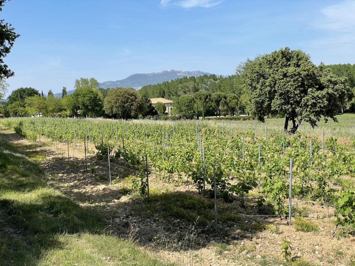 Chateau Talaud Loriol-du-Comtat Eksteriør billede