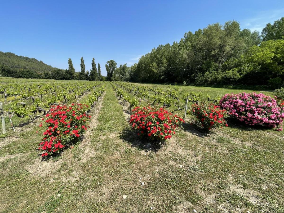 Chateau Talaud Loriol-du-Comtat Eksteriør billede